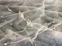 m ove - 2025, 12x16”, soft pastel on toned pastel paper